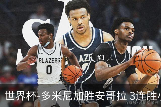 世界杯-多米尼加胜安哥拉 3连胜小组第一晋级